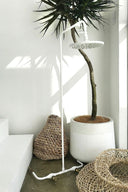 NOOSA White